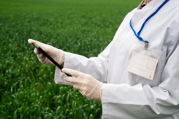 une agronome en blouse blanche vérifie la croissance des plantes sur le terrain