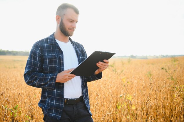 Agronome dans le domaine du soja, contrôle des cultures, production et culture d'aliments biologiques