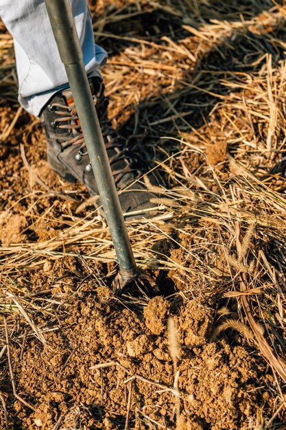 Photo agronome d'échantillonnage du sol prélevant un échantillon avec une sonde d'échantillonnage du sol