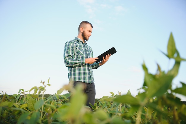 Agronome inspectant les cultures de soja poussant dans le champ