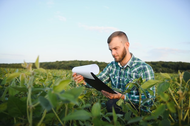 L'agronome inspecte la récolte de soja dans le domaine agricole - Agro concept - agriculteur dans la plantation de soja à la ferme