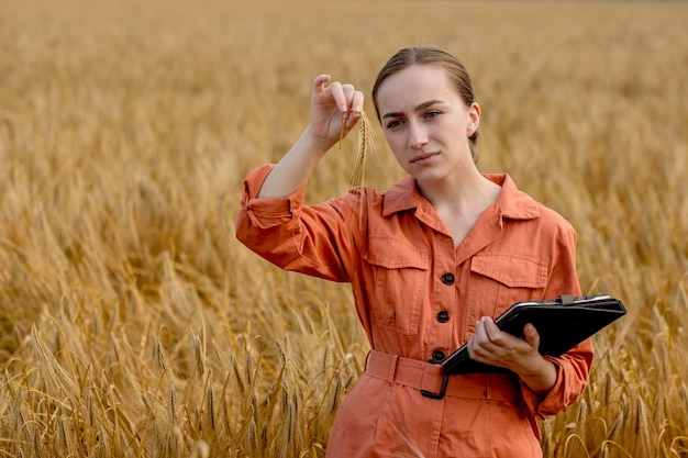 Agronome tenant un tube à essai avec des grains d'orge dans le champ, en gros plan. Culture céréalière, oncept d'essai de blé