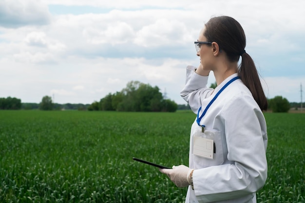 Agronome utilisant une tablette et la technologie dans un champ de maïs agricole L'agriculteur se promène dans le champ