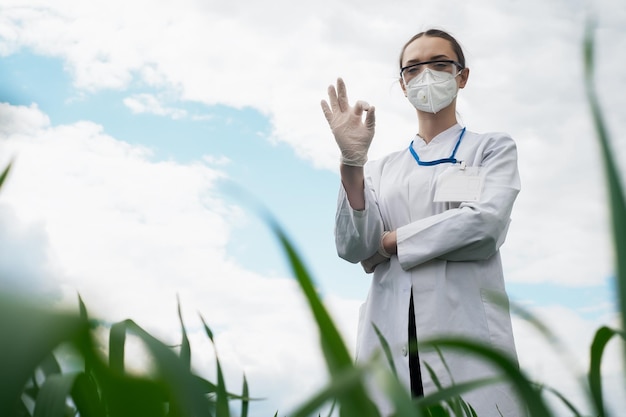 Agronome utilisant une tablette et la technologie dans un champ de maïs agricole L'agriculteur se promène