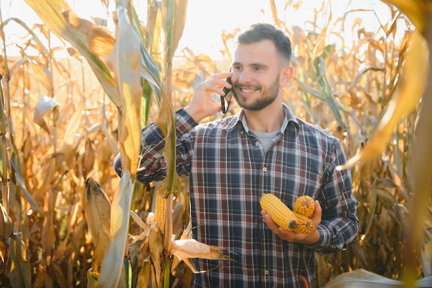 Agronome vérifiant le maïs s'il est prêt pour la récolte Portrait d'agriculteur