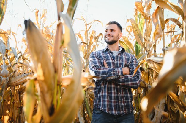 Agronome vérifiant le maïs s'il est prêt pour la récolte Portrait d'agriculteur