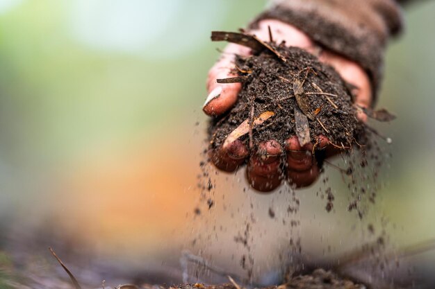 Photo agronomiste du sol: agriculteur examinant des échantillons de sol et de l'herbe dans un champ au printemps, examinant la croissance des plantes et la santé du sol.