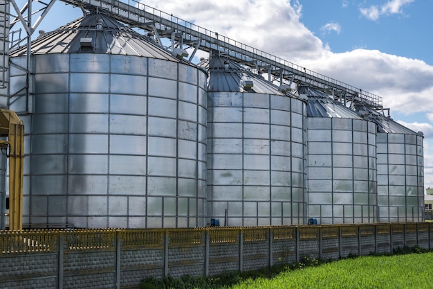 Agrotransformation et usine de fabrication pour la transformation et les silos d'argent pour le nettoyage à sec et le stockage des produits agricoles farine céréales et grains Élévateur à grenier