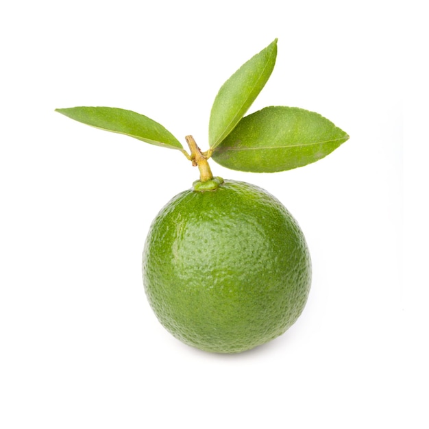 Agrumes citron vert fruit isolé sur fond blancxAxA