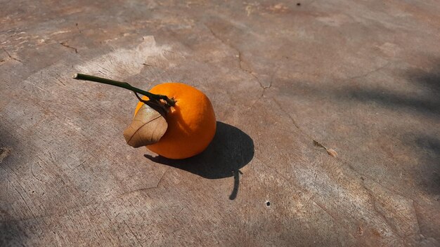 Agrumes mandarines sur fond de ciment exposé 03