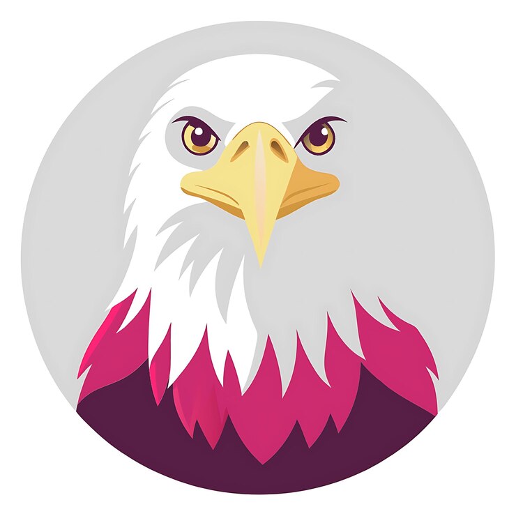 Photo aigle américain