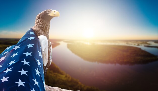 Aigle avec drapeau américain sur fond de rivière coucher de soleil