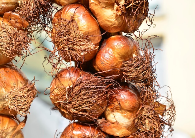 Ail cuit au four avec croûte dorée sur le marché