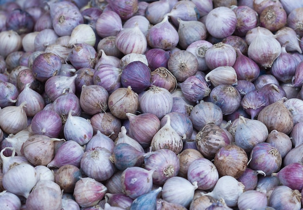 Ail fermé sur le marché à la vente