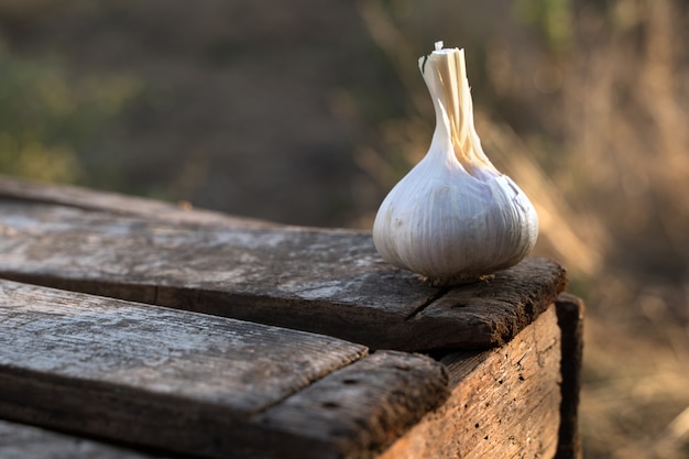 Ail frais sur une table en bois