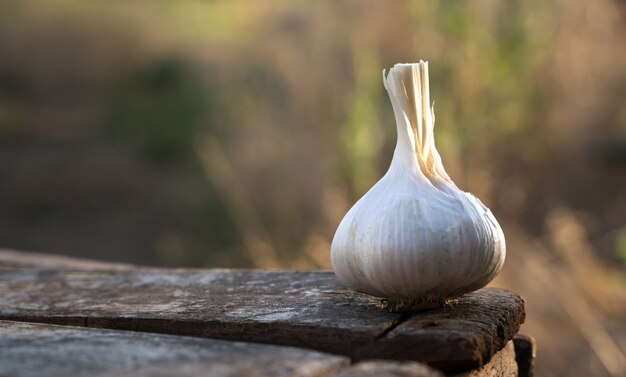 Ail frais sur une table en bois