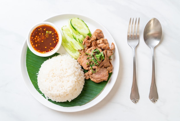 Ail de porc grillé avec riz avec sauce épicée à l'asiatique