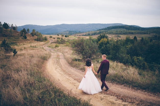 Aimer le couple de mariage dans les montagnes