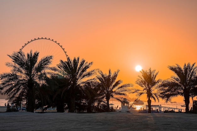 Ain dubai la plus grande roue du monde