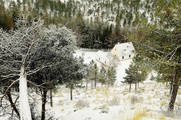 Aire de loisirs de la canaleja dans la Sierra de Baza - Grenade.