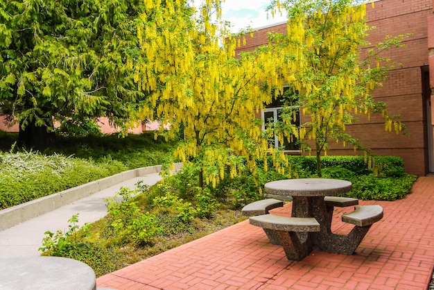 Aire de loisirs dans un lieu urbain calme Petit carré de jardin avec table ronde