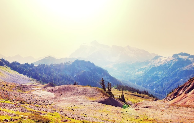 Aire de loisirs Mt. Baker, Washington, USA