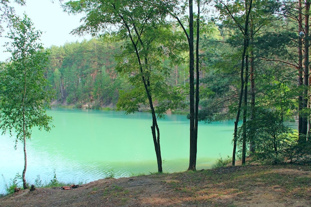 Aire de loisirs près du lac de la forêt Pinède près du magnifique lac