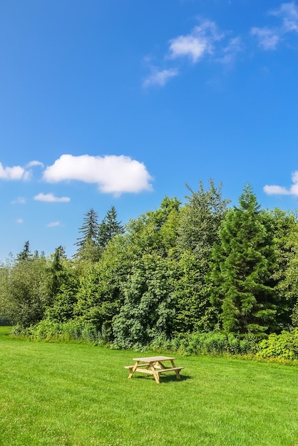 Aire de pique-nique avec table en bois sur pelouse verte dans un parc