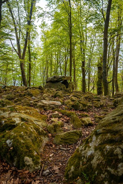 Aitzetako Txabala Dolmen au Pays Basque au printemps Errenteria Gipuzkoa