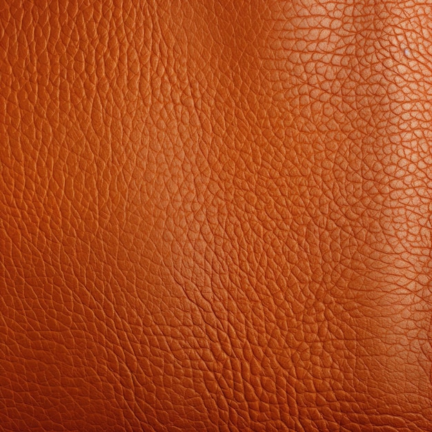 Ajoutez de la chaleur et de la sophistication Découvrez les textures orange polyvalentes pour la décoration vierge