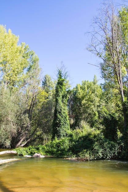 Alberche riverbank à Tolède, Castilla La Mancha, Espagne