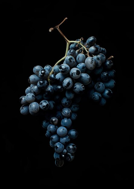 Un album photo visuel de raisins plein de moments frais et juteux