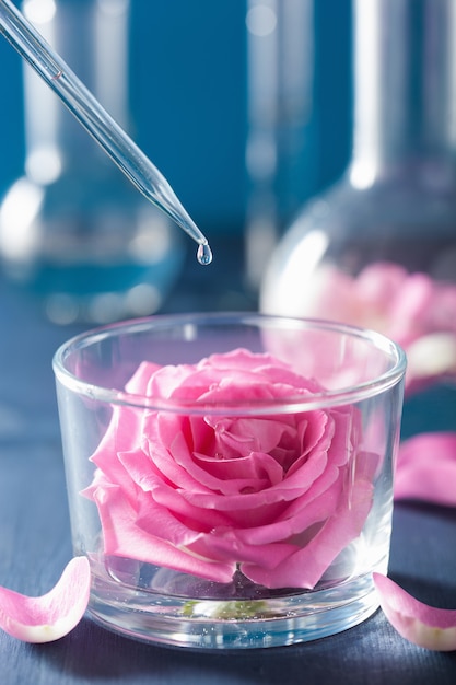 Alchimie et aromathérapie aux fleurs roses et flacons chimiques