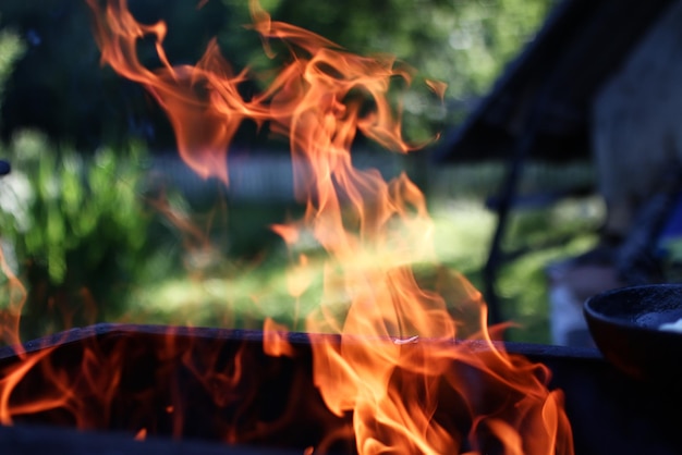 Alevins d'oignons en feu à l'extérieur