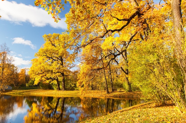 Alexander Park à l'automne en octobre Contexte