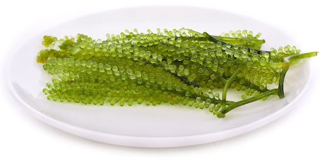 Algues de raisin ou caviar vert isolé sur fond blanc