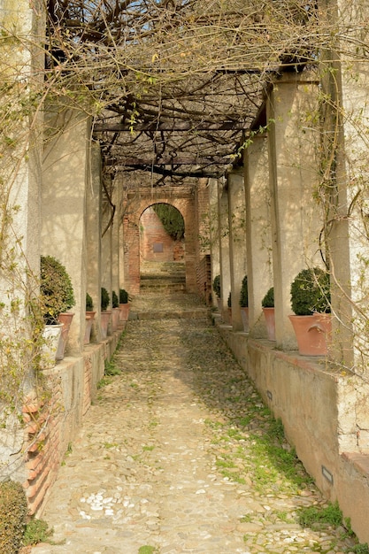 L'Alhambra de Grenade. Complexe monumental de Nazari