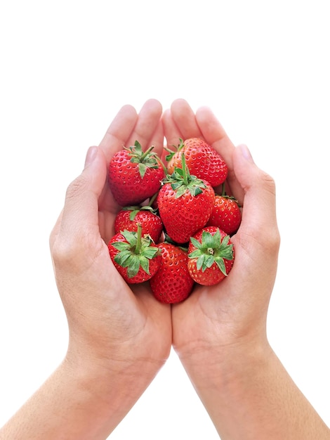 Alimentation saine suivre un régime nourriture végétarienne et concept de personnes gros plan de mains de femme tenant des fraises à la maison