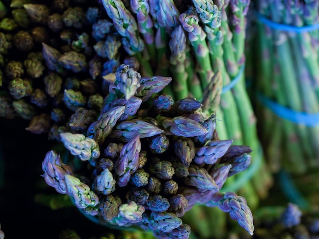 Aliments biologiques frais au marché de producteurs locaux. Les marchés de producteurs sont un moyen traditionnel de vendre des produits agricoles.