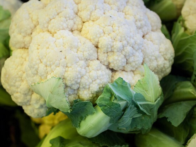 Aliments biologiques frais au marché de producteurs locaux. Les marchés de producteurs sont un moyen traditionnel de vendre des produits agricoles.