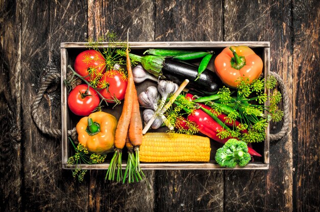 Aliments biologiques Récolte fraîche de légumes sur un fond en bois