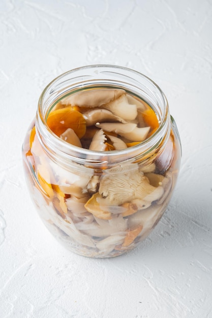 Aliments fermentés Conservation des champignons sur fond blanc