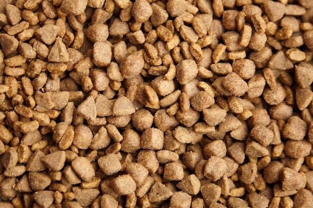 Aliments séchés pour chiens et chats