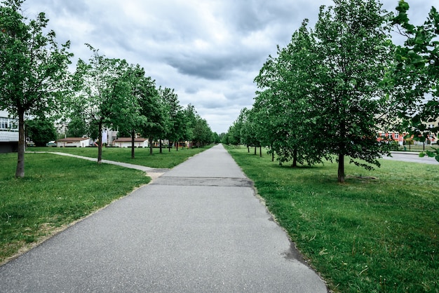 Allée d'arbres verts, chemin pour se promener au grand air à l'extérieur de la ville.