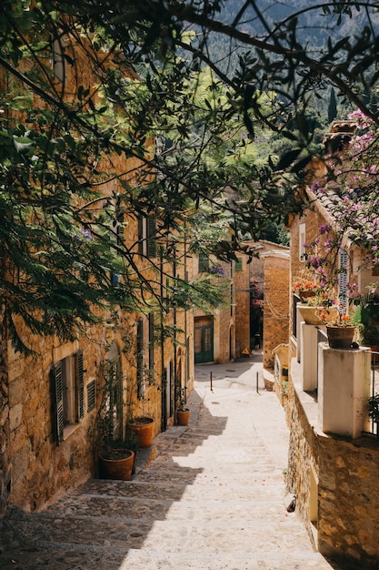 Allée au milieu des bâtiments de la ville