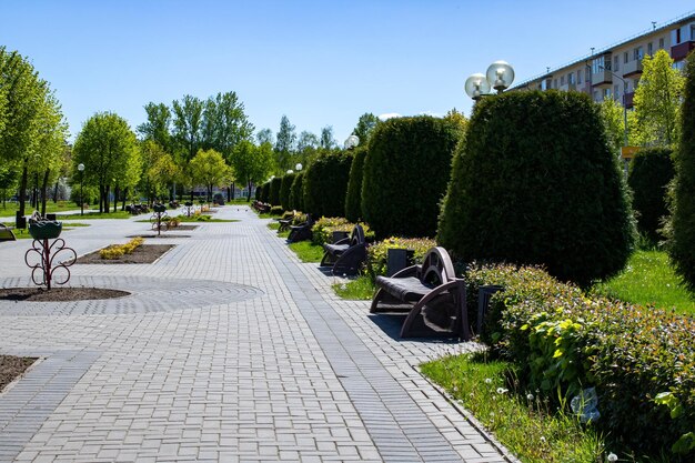 Allée avec bancs et buissons dans le parc