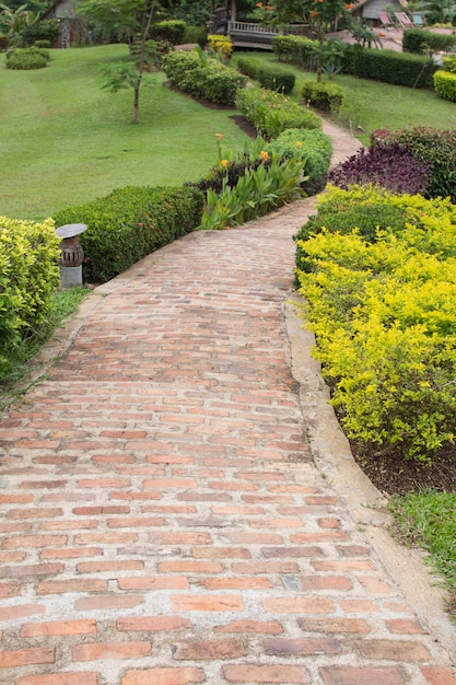 Allée de briques dans un jardin verdoyant