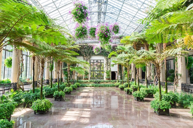 Allée dans le jardin botanique.