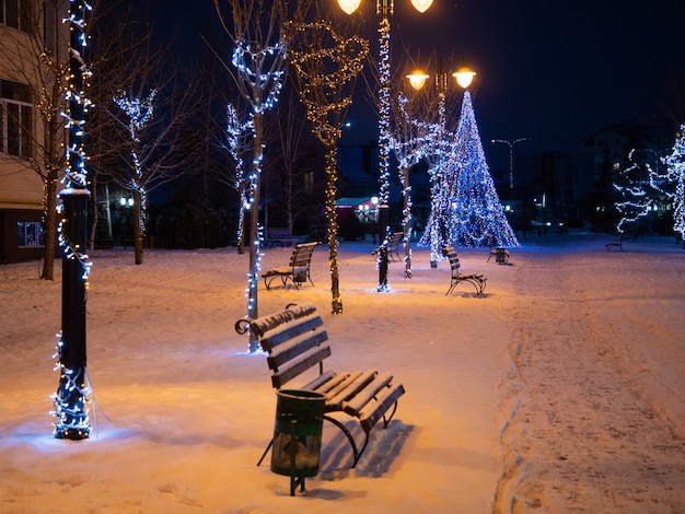 Allée du parc de la ville vide avec banc en bois et arbre de Noël la nuit