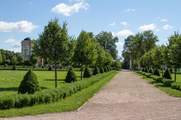 Allée de parc avec chemin en pierre concassée avec arbres et arbustes verts taillés